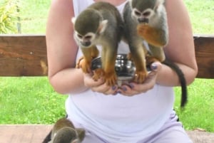 Puerto Plata: Monkey Tour and Dominican History and Culture City Tour