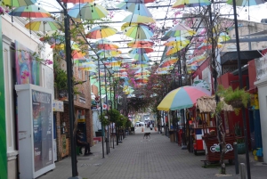 Puerto Plata: Monkey Tour and Dominican History and Culture City Tour