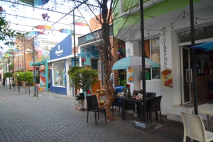 Puerto Plata: Monkey Tour and Dominican History and Culture City Tour