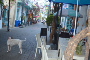 Puerto Plata: Monkey Tour and Dominican History and Culture City Tour