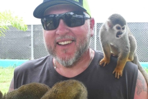 Puerto Plata: Monkey Tour and Dominican History and Culture City Tour