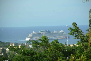 Puerto Plata: Monkey Tour and Dominican History and Culture City Tour