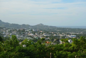 Puerto Plata: Monkey Tour and Dominican History and Culture City Tour