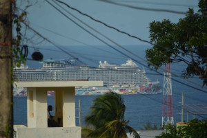 Puerto Plata: Monkey Tour and Dominican History and Culture City Tour