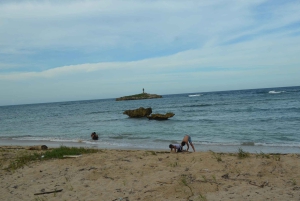 Puerto Plata: Monkey Tour and Dominican History and Culture City Tour