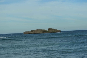 Puerto Plata: Monkey Tour and Dominican History and Culture City Tour