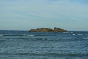 Puerto Plata: Monkey Tour and Dominican History and Culture City Tour