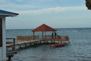 Puerto Plata: Monkey Tour and Dominican History and Culture City Tour