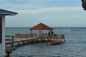 Puerto Plata: Monkey Tour and Dominican History and Culture City Tour