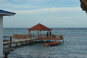 Puerto Plata: Monkey Tour and Dominican History and Culture City Tour