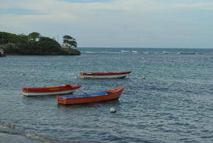 Puerto Plata: Monkey Tour and Dominican History and Culture City Tour