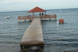 Puerto Plata: Monkey Tour and Dominican History and Culture City Tour