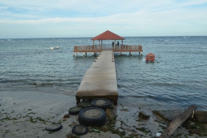 Puerto Plata: Monkey Tour and Dominican History and Culture City Tour