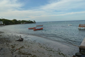 Puerto Plata: Monkey Tour and Dominican History and Culture City Tour