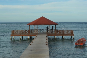 Puerto Plata: Monkey Tour and Dominican History and Culture City Tour