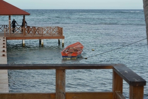 Puerto Plata: Monkey Tour and Dominican History and Culture City Tour