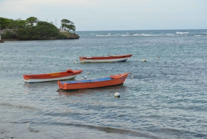 Puerto Plata: Monkey Tour and Dominican History and Culture City Tour