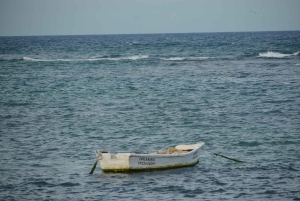 Puerto Plata: Monkey Tour and Dominican History and Culture City Tour