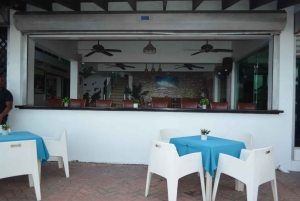 Puerto Plata: Monkey Tour and Dominican History and Culture City Tour