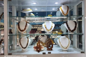 Puerto Plata: tour delle scimmie, della fortezza e del centro storico