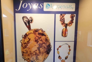 Puerto Plata: tour delle scimmie, della fortezza e del centro storico