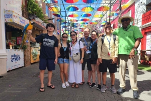 Puerto Plata: Monkey Tour, Fortress, and Historic Center