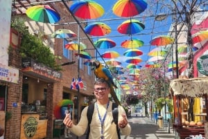 Puerto Plata: Monkey Tour, Fortress, and Historic Center