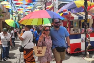 Puerto Plata: Monkey Tour, Fortress, and Historic Center