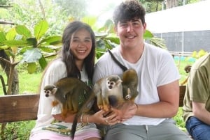 Puerto Plata: Monkey Tour, Fortress, and Historic Center