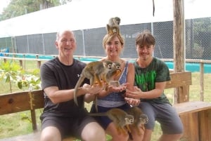 Puerto Plata: Monkey Tour, Fortress, and Historic Center