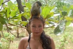 Puerto Plata: Monkey Tour, Fortress, and Historic Center