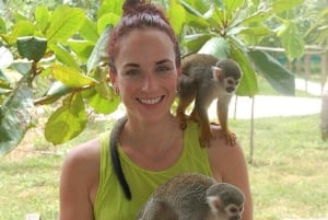 Puerto Plata: Monkey Tour, Fortress, and Historic Center