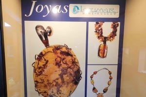 Puerto Plata: Monkey Tour, Fortress, and Historic Center