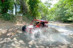 Puerto Plata: Monkeyland, Damajagua-vandfaldet og buggy-eventyr