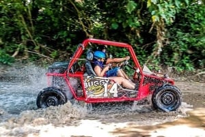 Puerto Plata: Monkeyland, Damajagua-vandfaldet og buggy-eventyr