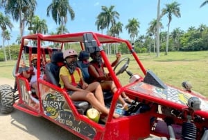 Puerto Plata: Monkeyland, Damajagua-vandfaldet og buggy-eventyr
