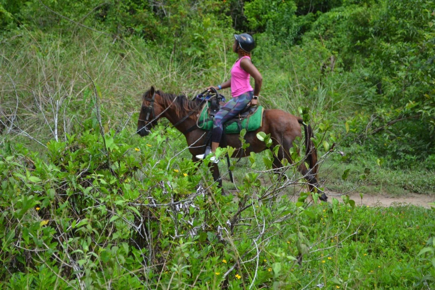 Puerto Plata: Mountain Horse Ride Tour with Drinks