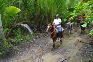 Puerto Plata: paseo a caballo por la montaña con bebidas