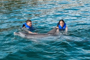 Puerto Plata: Ocean World Adventure Park Swim with Dolphins