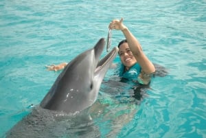 Puerto Plata Ocean World Dolphin Swim
