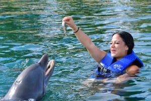 Nage avec les dauphins à Puerto Plata Ocean World