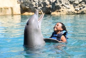 Puerto Plata Ocean World Dolphin Swim