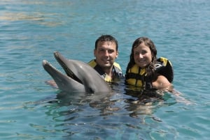 Puerto Plata Ocean World Dolphin Swim
