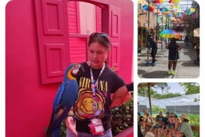 Puerto Plata: Panoramic Tours, Jardín Mariposa, Countryside Views