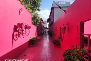 Puerto Plata: Panoramic Tours, Jardín Mariposa, Countryside Views