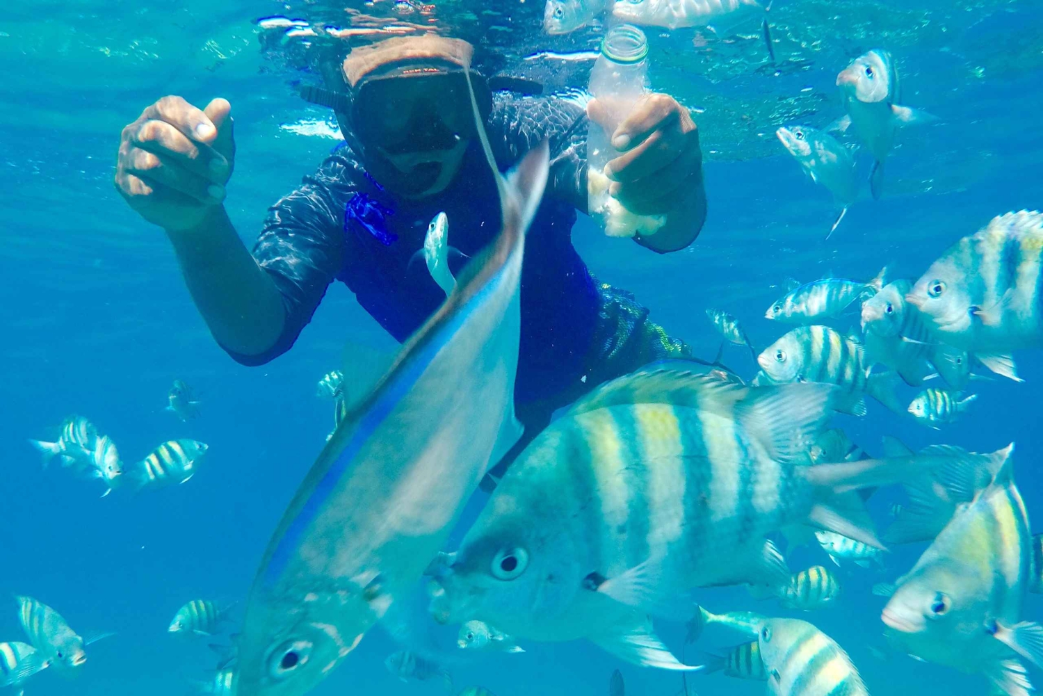 Puerto Plata: party boat with snorkeling, buffet, and tropical drinks