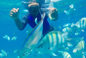 Puerto Plata: party boat with snorkeling, buffet, and tropical drinks