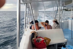 Puerto Plata: Catamaran Party Boat naar Sosua Bay