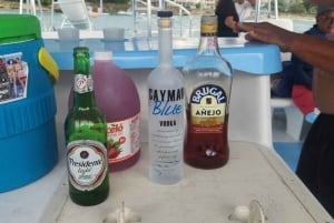 Puerto Plata: Catamaran Party Boat naar Sosua Bay