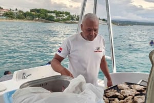 Puerto Plata: Catamaran Party Boat naar Sosua Bay